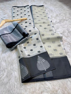 Banarasi Soft Katan Silk Tissue Saree -BKSTBW1