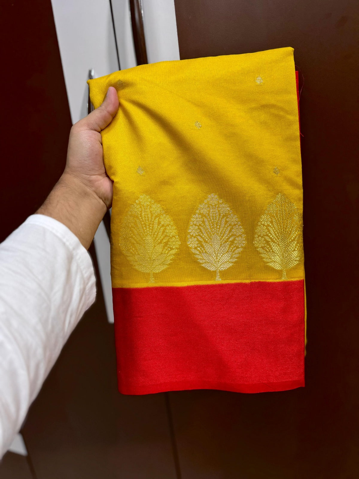 Banarasi Raw Mango Silk Saree - BRMABY1