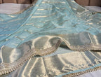 Banarasi Organza Silk Saree with Zari Strip - APBOZS1