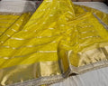 Banarasi Organza Silk Saree with Zari Strip - APBOZS3
