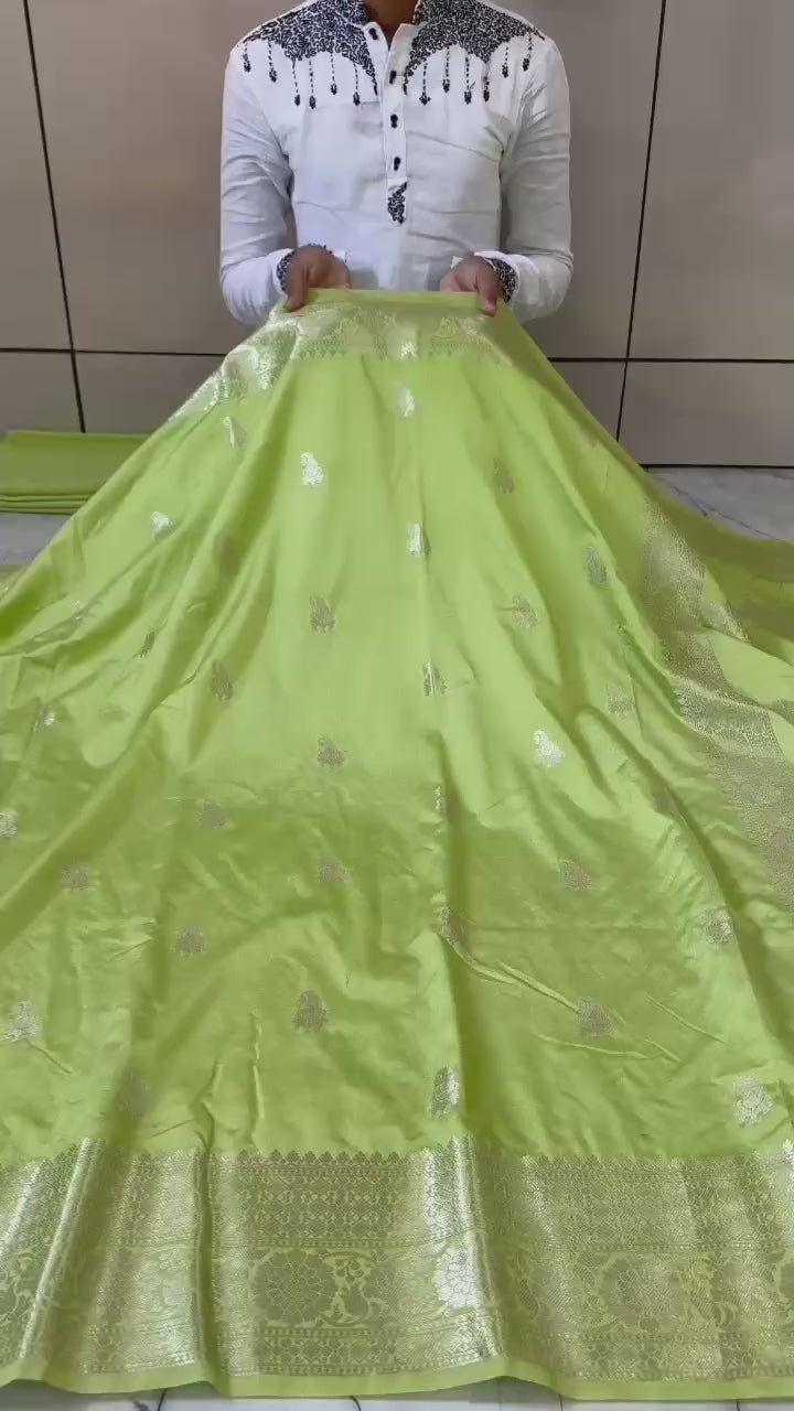 Banarasi Georgette Silver Zari Saree - BHSZG01