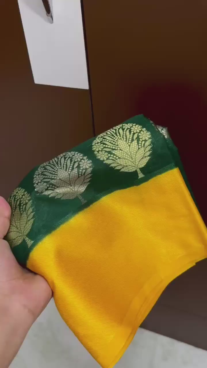 Banarasi Raw Mango Silk Saree - BRMABG1