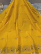 Banarasi Katan Silk with Minakari Border - BKMBY1