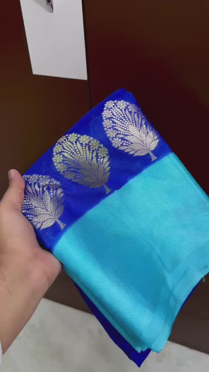 Banarasi Raw Mango Silk Saree - BRMABB1