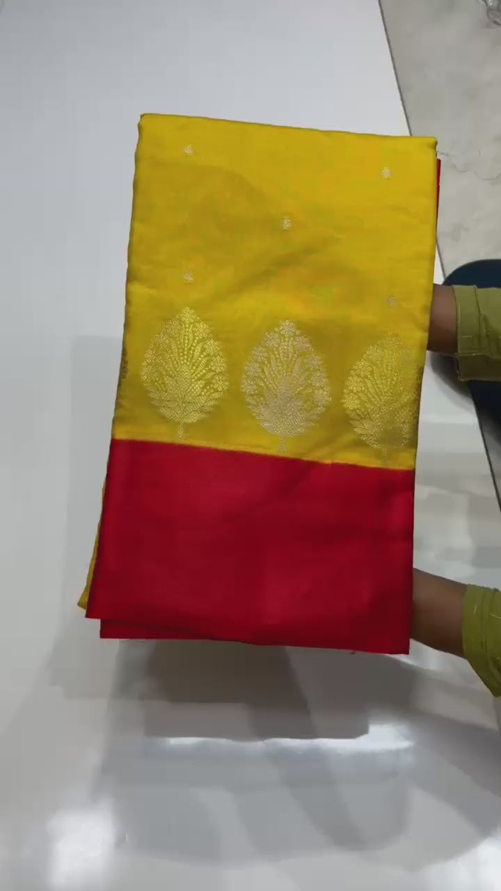 Banarasi Raw Mango Silk Saree - BRMABY1