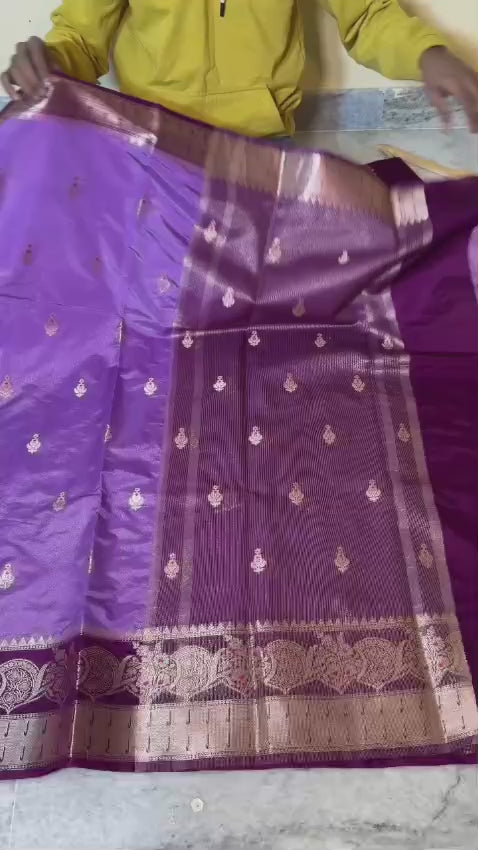 Banarasi Warm Silk Saree with Mina Dar Zari Border - BWSPR01