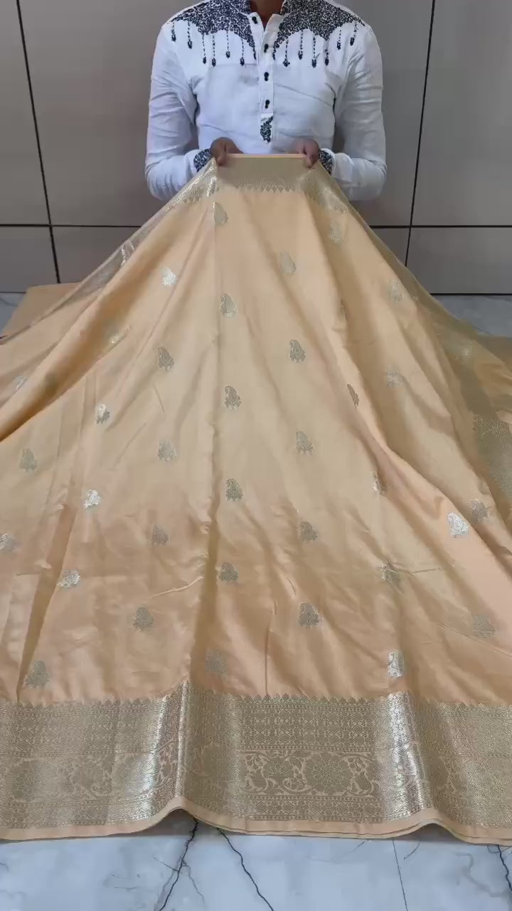 Banarasi Georgette Silver Zari Saree - BHSZPH1