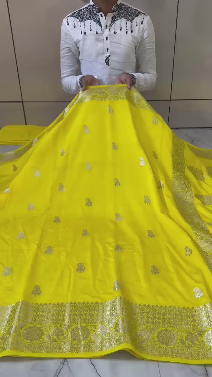 Banarasi Georgette Silver Zari Saree - BHSZY01