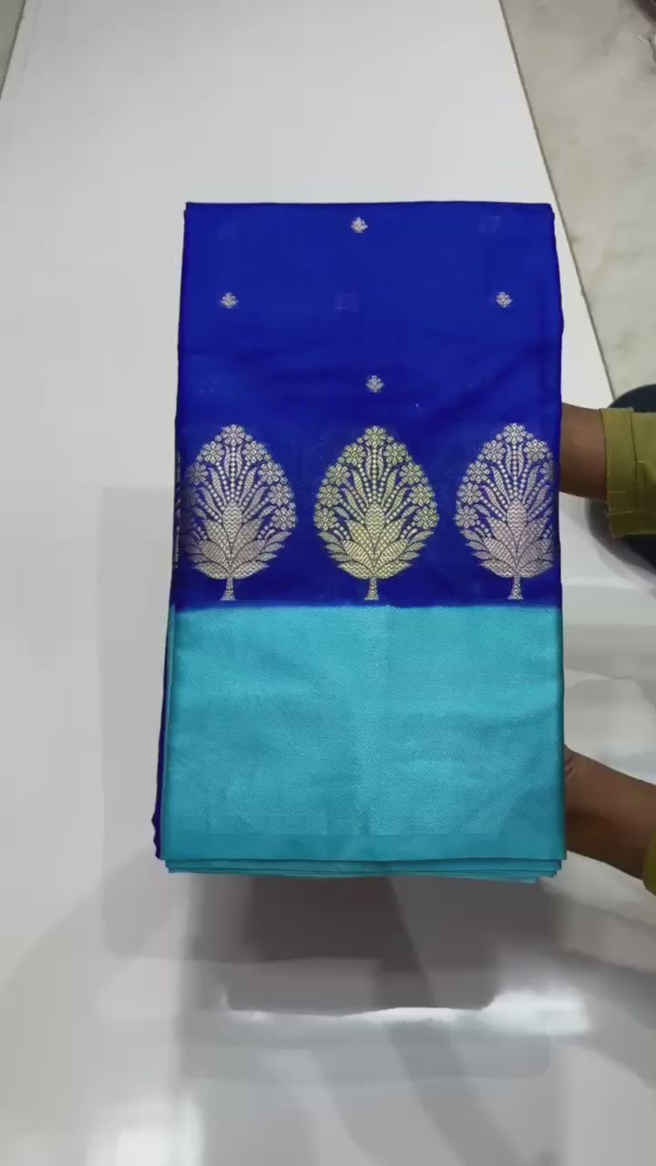 Banarasi Raw Mango Silk Saree - BRMABB1