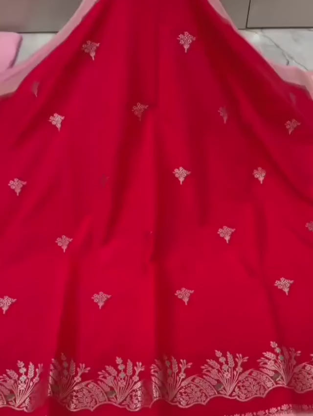 Banarasi Katan Silk with Minakari Border - BKMBR1