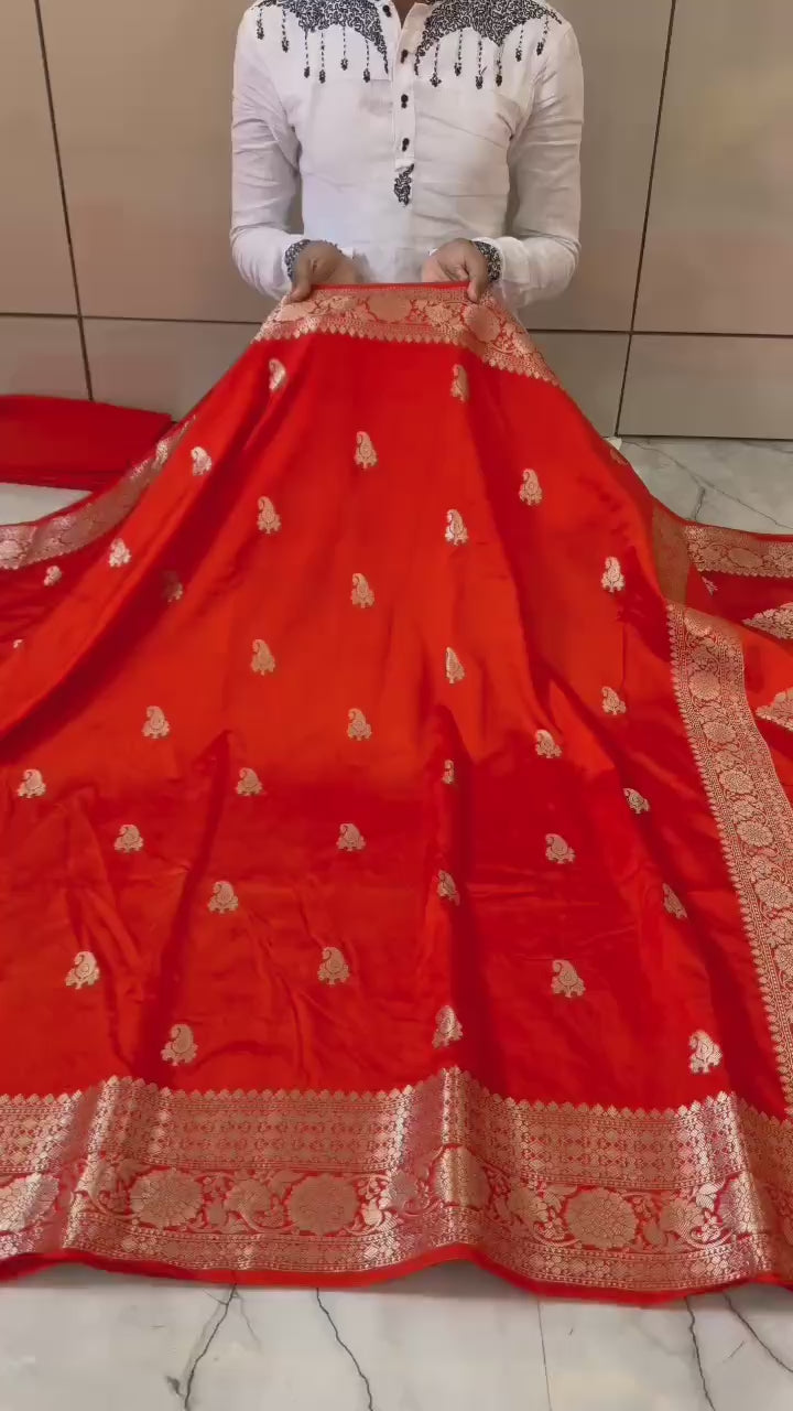 Banarasi Georgette Silver Zari Saree - BHSZR01