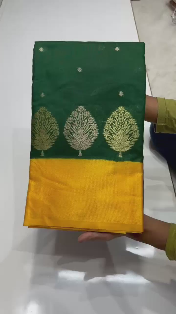 Banarasi Raw Mango Silk Saree - BRMABG1